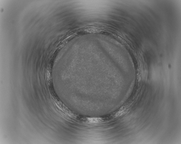 X0000053060371200508081200