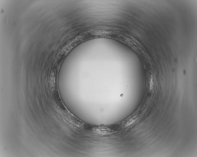 X0000053060372200508081200