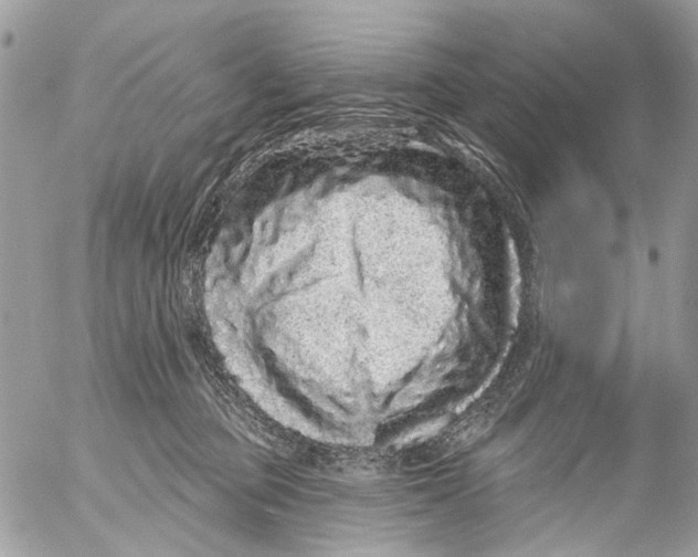 X0000053060373200508081200