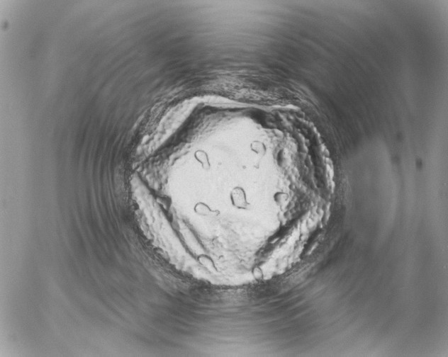 X0000053060377200508081200