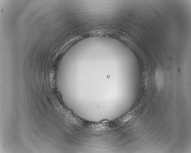 X0000053060378200508081200