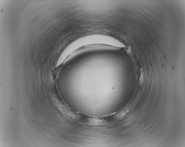 X0000053060380200508081200