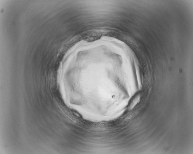 X0000053060381200508081200