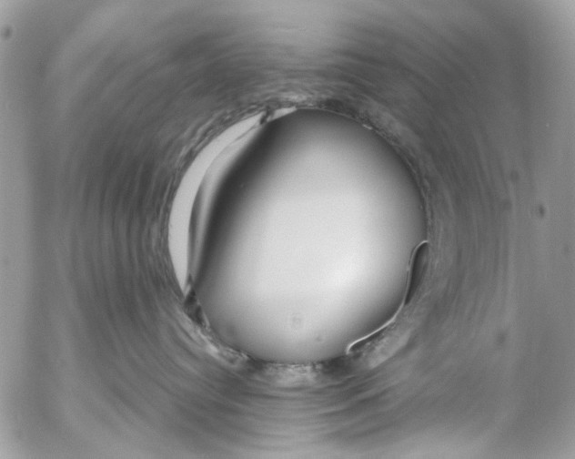 X0000053060384200508081200