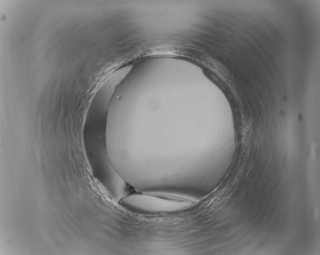 X0000053060385200508081159