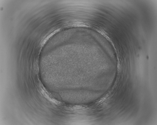 X0000053060390200508081159