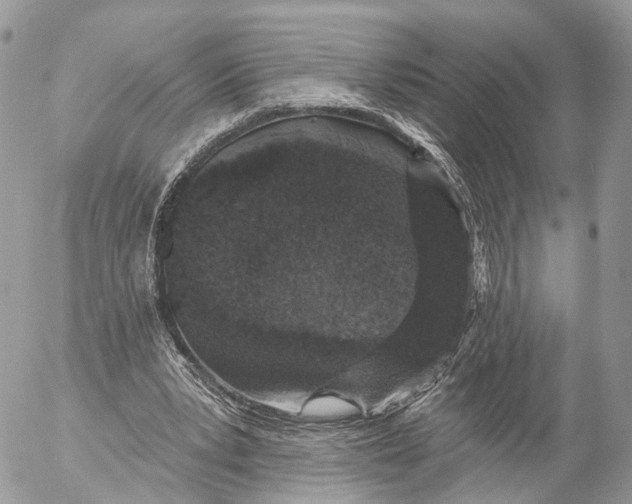 X0000053060391200508081159