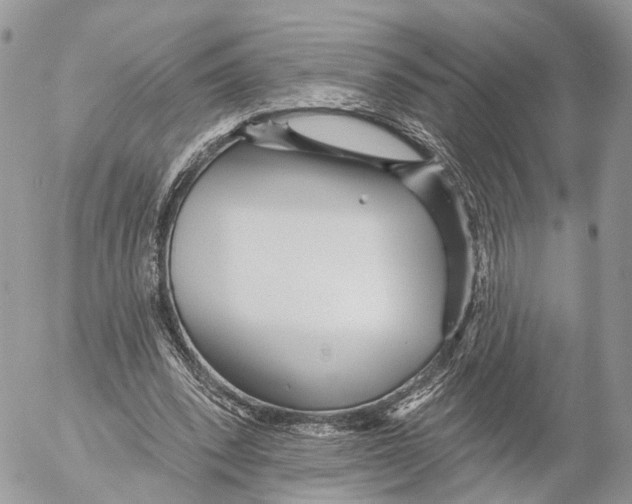 X0000053060392200508081159