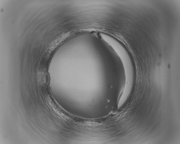 X0000053060393200508081159