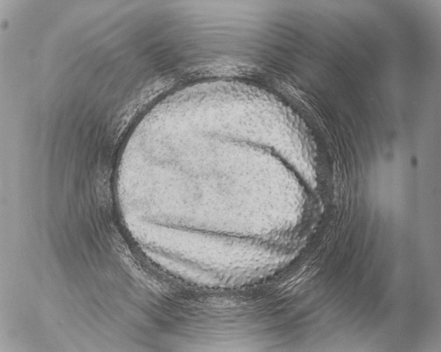 X0000053060394200508081159