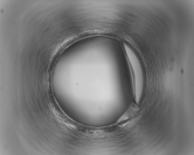 X0000053060395200508081159