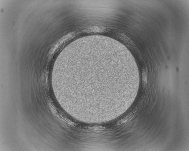 X0000053060396200508081159