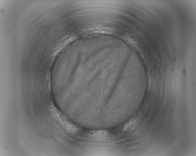 X0000053060398200508081159