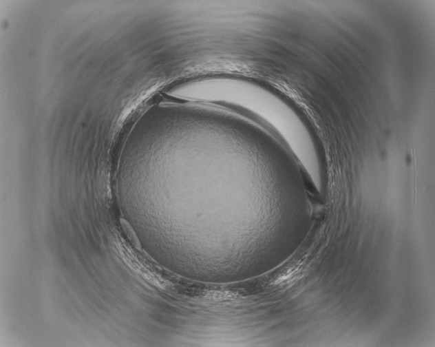 X0000053060399200508081159