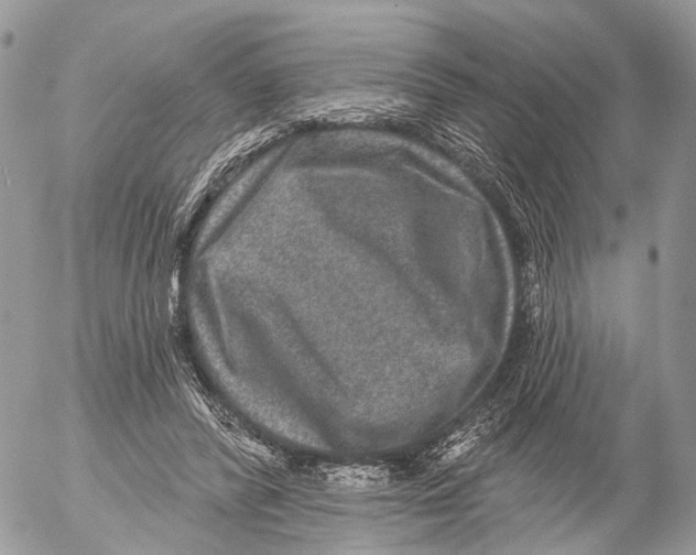 X0000053060400200508081159