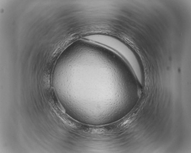 X0000053060401200508081159