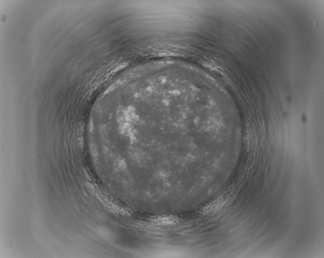 X0000053060402200508081159