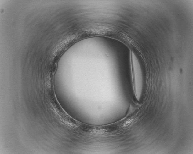 X0000053060403200508081159