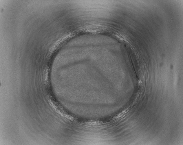 X0000053060404200508081159