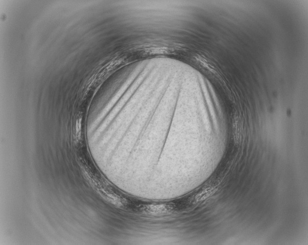 X0000053060406200508081159