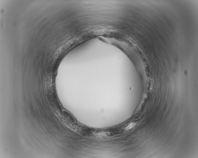 X0000053060407200508081159