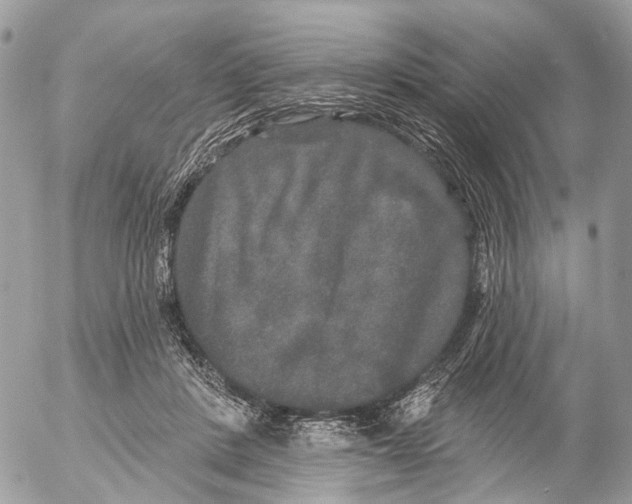 X0000053060408200508081159