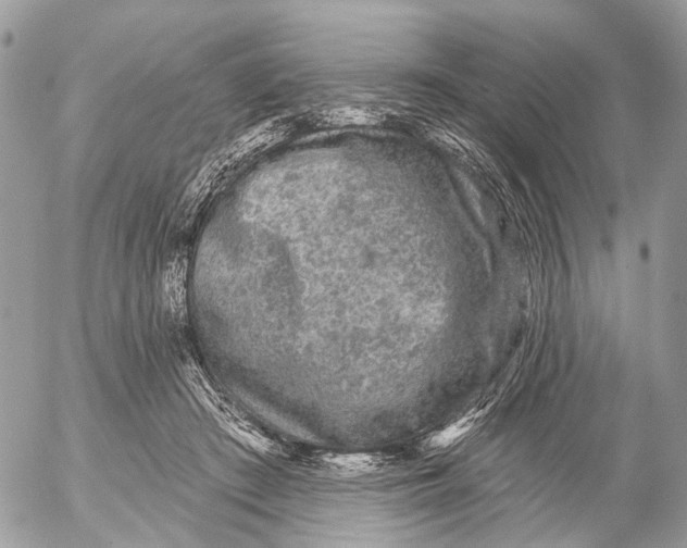 X0000053060409200508081159