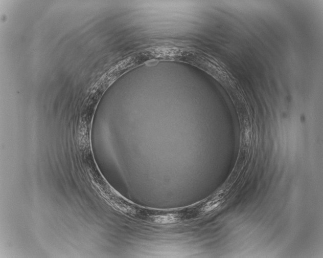 X0000053060411200508081159