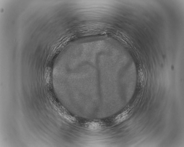 X0000053060412200508081159