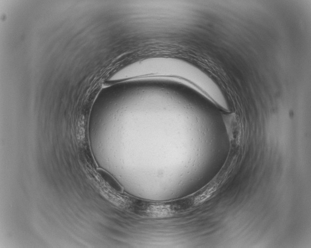 X0000053060413200508081159