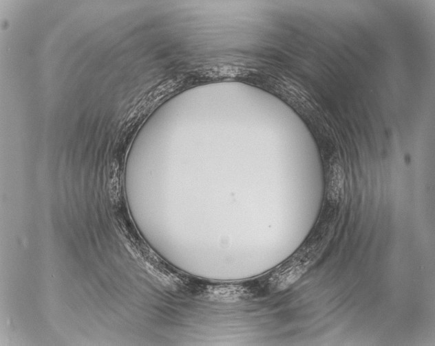 X0000053060414200508081159