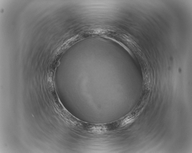 X0000053060415200508081159