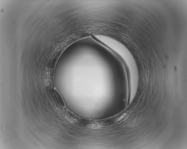 X0000053060416200508081159