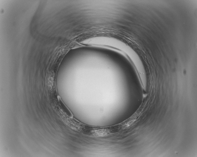 X0000053060417200508081159