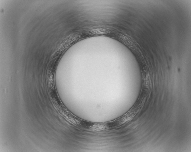 X0000053060418200508081159