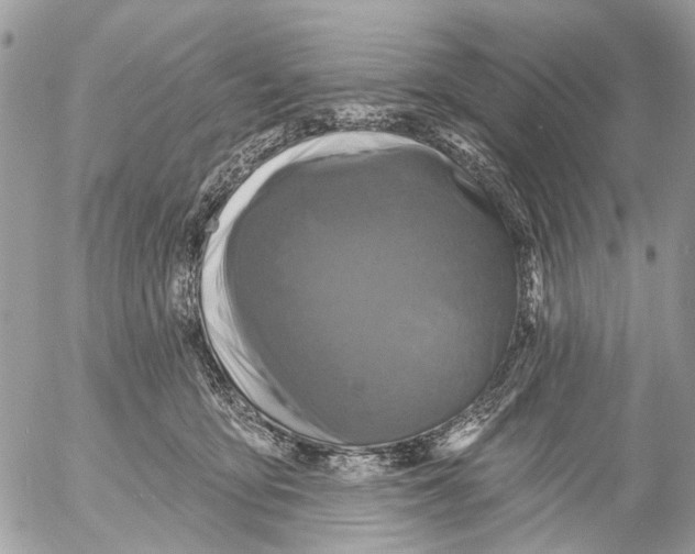 X0000053060419200508081159