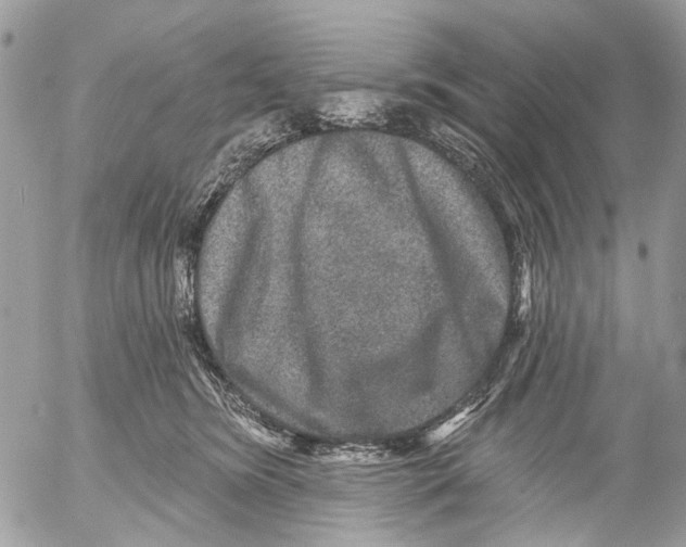 X0000053060420200508081159