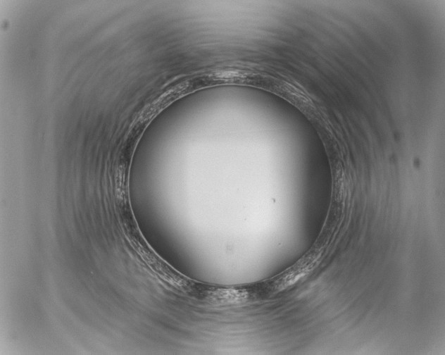 X0000053060421200508081159