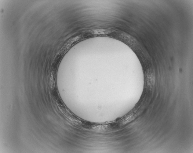 X0000053060422200508081159