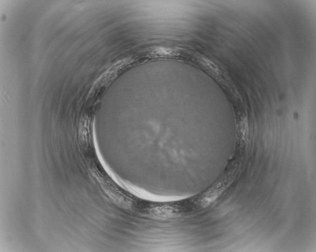 X0000053060423200508081159