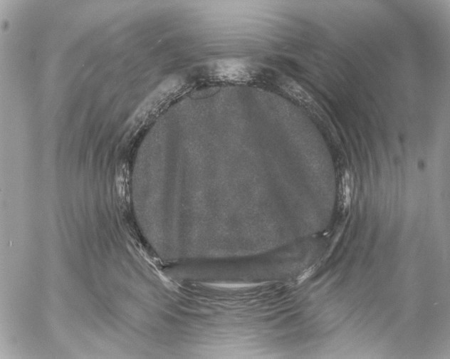 X0000053060424200508081159