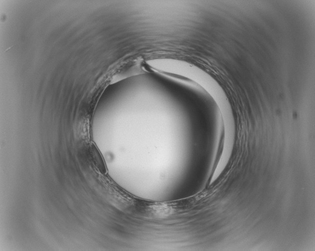 X0000053060425200508081159