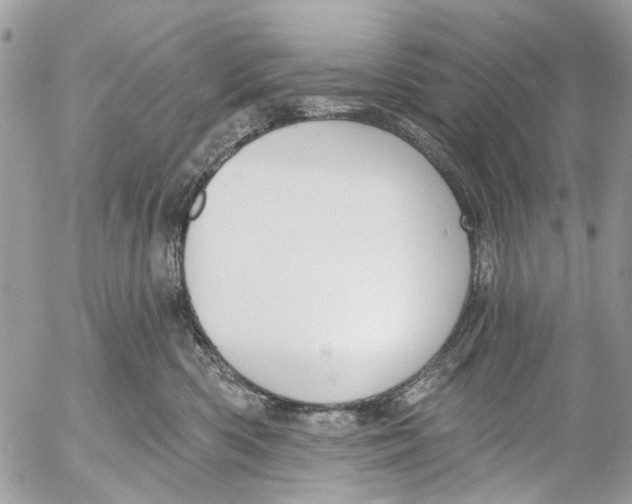 X0000053060426200508081159