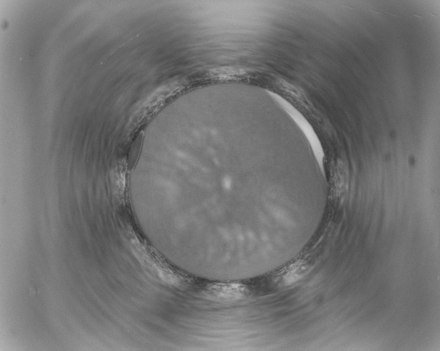 X0000053060427200508081159