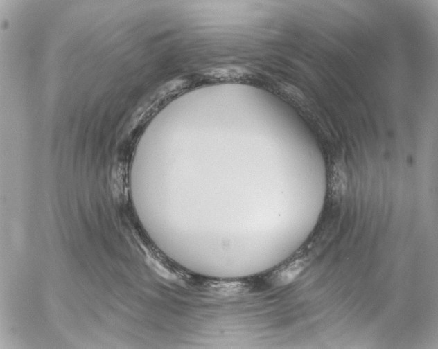 X0000053060428200508081159