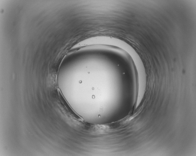 X0000053060429200508081159