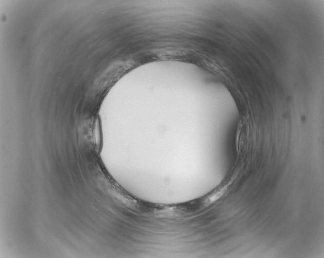 X0000053060430200508081159