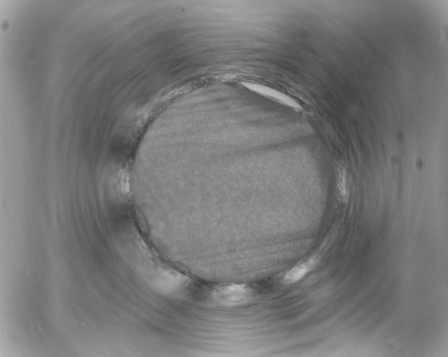 X0000053060431200508081159