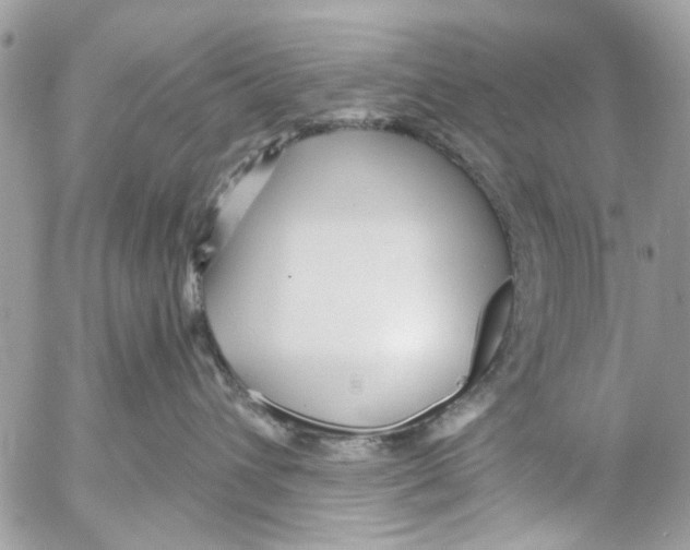 X0000053060432200508081159