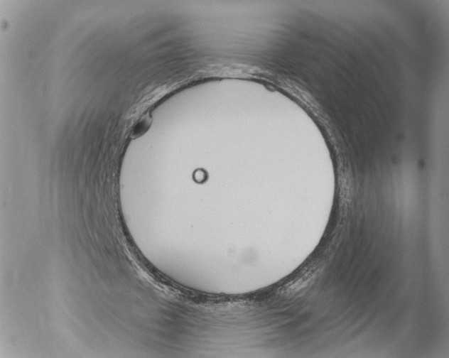 X0000053060433200508081158